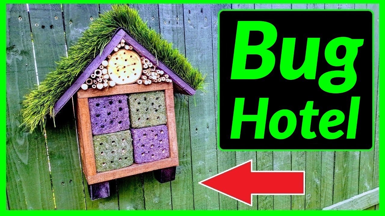 How to Make a Bug House / Hotel to Attract Beneficial Bees Bugs & Insects