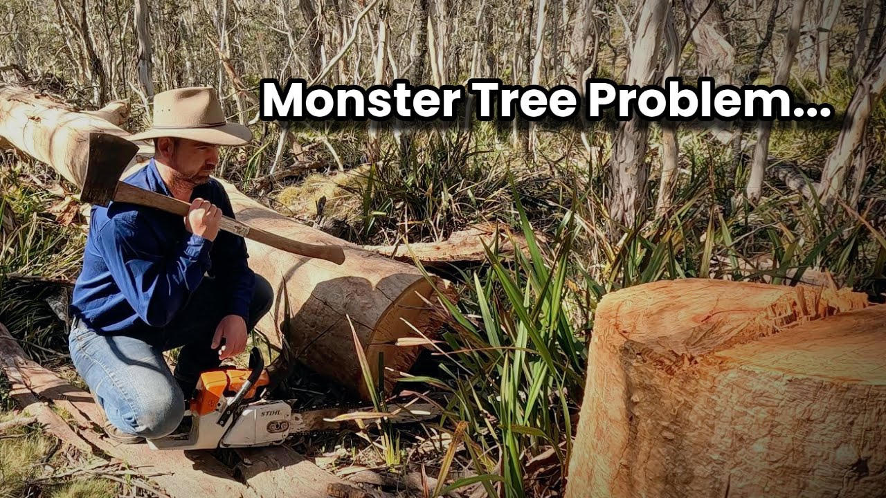 Унизленные деревом-монстром | Восхождение теплицы - Эпизод 10