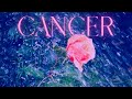 Cancer &quot;MAJOR TURN OF EVENTS!&quot;😍A reading you will remember! 🌈🦋🌹✨