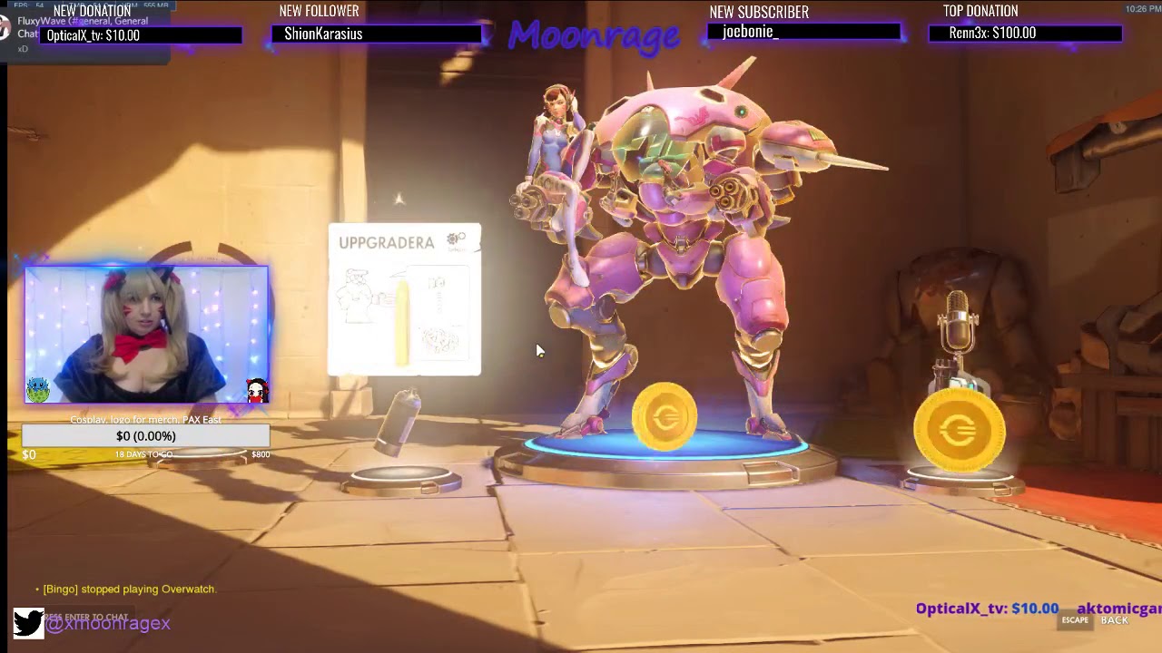 Black Cat D.Va Cosplay