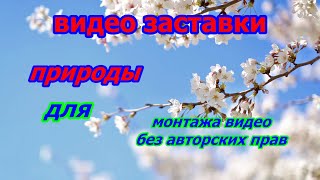 17 видео заставок природы для видео.Без авторского права.