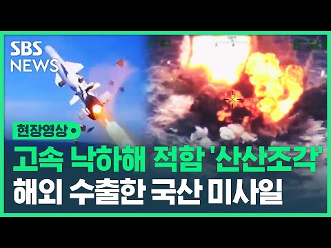 하늘에서 뚝 떨어져 쾅 격침시킨다 콜롬비아에 수출된 국산 미사일 해성 위력 공개 현장영상 SBS 