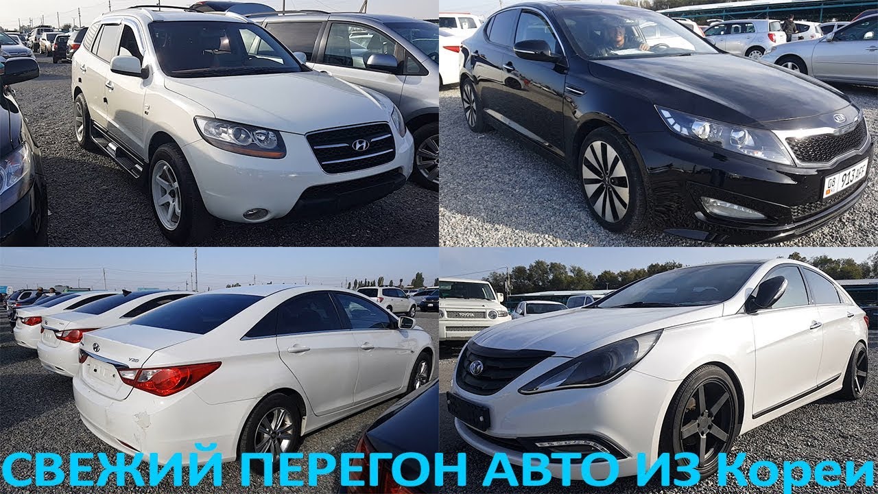 Авторынок киа кунцево