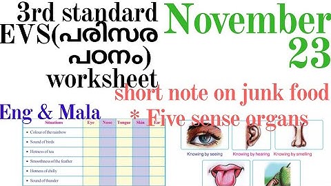 3rd standard EVS worksheet23-11-20| kite victors EVS worksheet 23-11-20| parisarapadanm worksheet