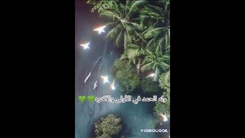 سورة القصص.بصوت ماهر المعيقلي