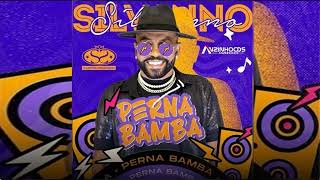 SILVANNO SALLES - PERNA BAMBA - REPERTÓRIO NOVO - MÙSICAS NOVAS - MARÇO - 2024 (CD COMPLETO)