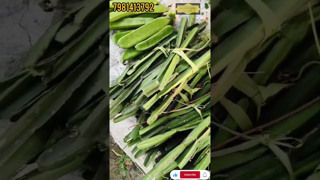 Sai Home Foods for Good Health 🌿 | How Our Products Help Your Wellness | Natural Foods 