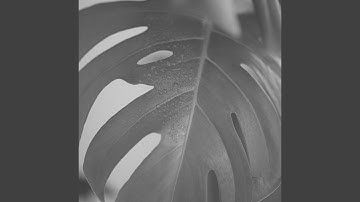 Alluring Moods for Devoted Inspiration