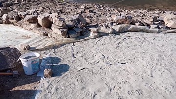 DIY natural pond with bentonite seal! ( part 4)