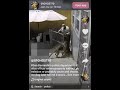 San Bernardino County sheriff's deputy fatally shoots dog
