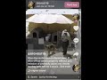 San Bernardino County sheriff's deputy fatally shoots dog
