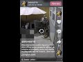 San Bernardino County sheriff's deputy fatally shoots dog