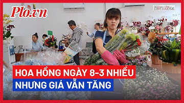 Hoa hồng ngày 8-3 nhiều nhưng giá vẫn tăng - PLO