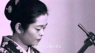 春風がそよそよと