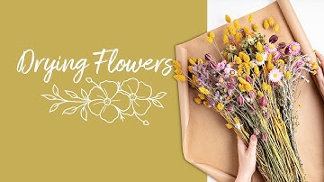 How to dry flowers | Interflora