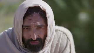 Daily Gospel Reading Video - St. John 4:5-42. (English)