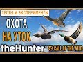 theHunter Call of the Wild #17 СТРИМ 🦆 - Охота на Уток в Озерном Крае Лейтон (2020)