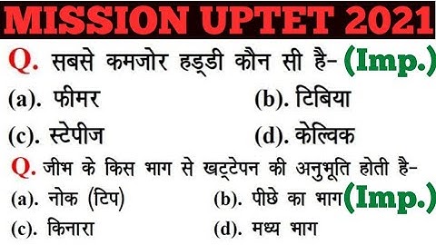 UPTET 2021 || Junior Super TET EVS Most Important Questions || Super TET