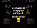подписка пожалуйста 🥺