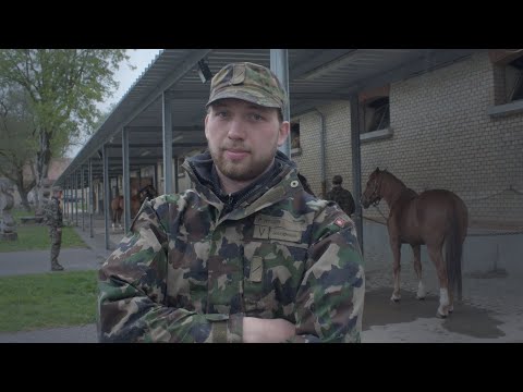 Armeealltag zu Corona-Zeiten - Komp Zen Vet D u A Tiere Sand-Schönbühl