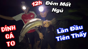 Thánh Xàm mất ngủ khi cắm câu dính được cá lóc khủng như thế này