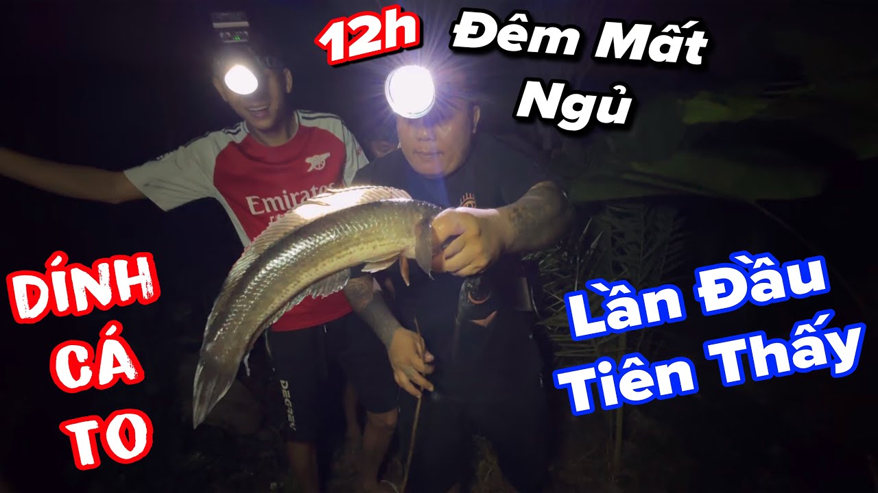 Thánh Xàm mất ngủ khi cắm câu dính được cá lóc khủng như thế này