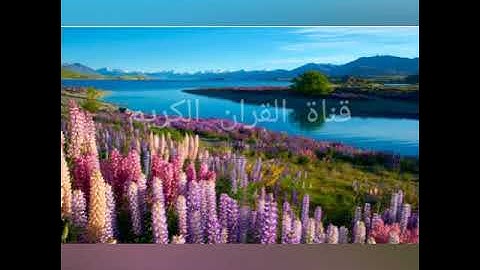 سورة الفاتحة عدد اياتها 7 وهي _ مكية مكررة 7 مرات للقارئ احمد العجمي