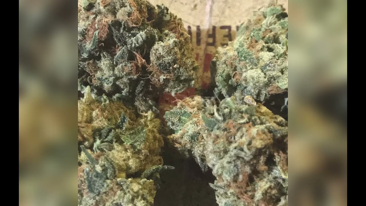 Beastmod & Alien OG Flower Budz!