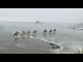 Incredible Ride on Bandon Beach at High Tide