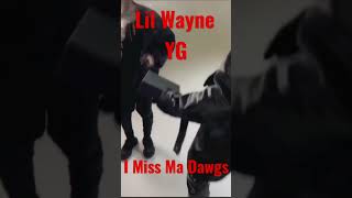 YG ft. LiL Wayne I Miss Ma Dawgs #yg400 #lilwayne #imissmadawgs