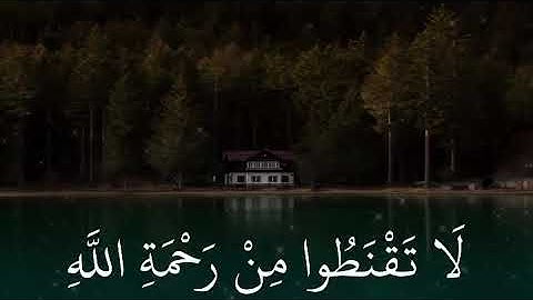 ماهر المعيقلي | حالات واتس اب دينية سورة الزمر 🥺