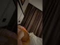 Khuya còn đòi que cay🫠 #phongcantv #sammyđào #viral #shorts #sksp