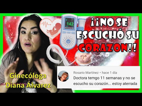 Video: ¿Durante el embarazo late el corazón?