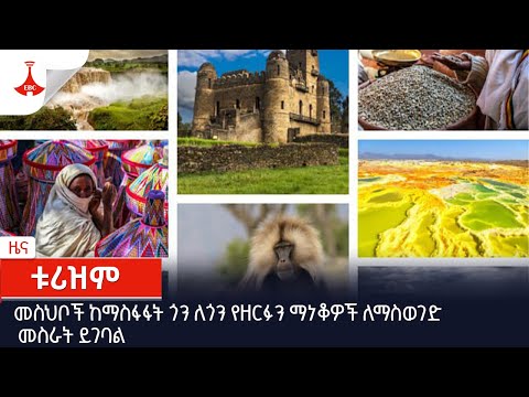 ቪዲዮ: የተመዘገበ ጎን ለጎን፡ የቪኒል ድግስ ለቤትዎ