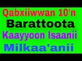 Qabxiiwwan 10 N Barattoota Kaayyoo Isaanii Milkeessuu Danda An