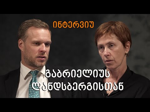 გაბრიელიუს ლანდსბერგისი: ეს კანონი გამჭვირვალეობაზე არ არის