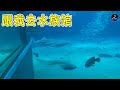 跟我去水族馆
