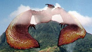 Godzilla x Kong: Where's Rodan?