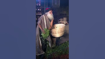Sadhguru Consecrates 5 Million Rudraksha Beads on Mahashivratri