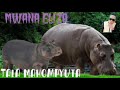 MWANA ELIZA 2026 UJUMBE WA MAHIDI Tala Makompyuta Official Audio 