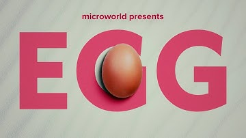 Have you seen an egg under a microscope? 🥚