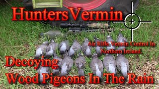 Air Rifle Hunting Decoying Wood Pigeons In The Rain