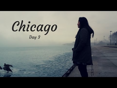 chicago-vlog-day-3-|-shedd-aquarium-&-the-field-museum