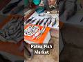 Biggest Fresh Fish Market 🐟 | Dekho Kitni Taazi Machhliyan Hai Yahan!