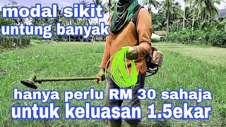 BERAPA MODAL MESIN RUMPUT KELUASAN 1EKAR SETENGAH // cutting grass