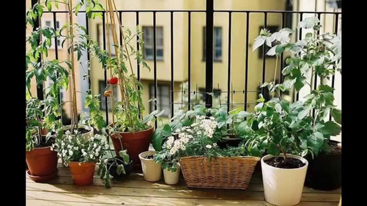 Rental apartment porch: renting houses on vacation. dazzling rug ...