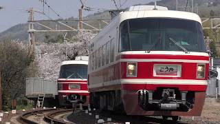 南海30000系 桜花と「こうや」 於 学文路駅　2019