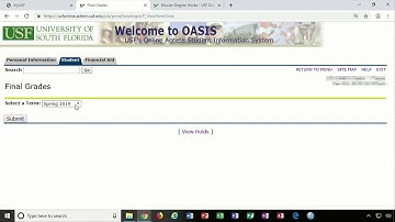 How to check final grades
