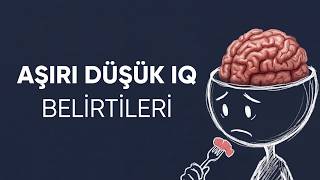 Iqnuzun Düşük Olduğunu Ele Veren 6 Günlük Alışkanlık Poloji Destekli