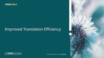 Stibo Systems MDM 2024.4: Configure Efficient Translation Screens